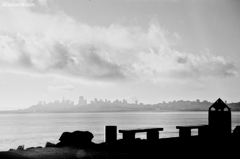San Francisco skyline, by Allie Siarto, Lansing Wedding Photographer