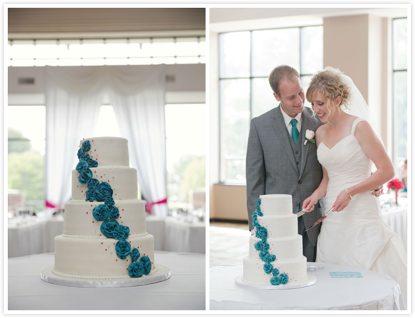 henry center wedding photos (cutting the cake)