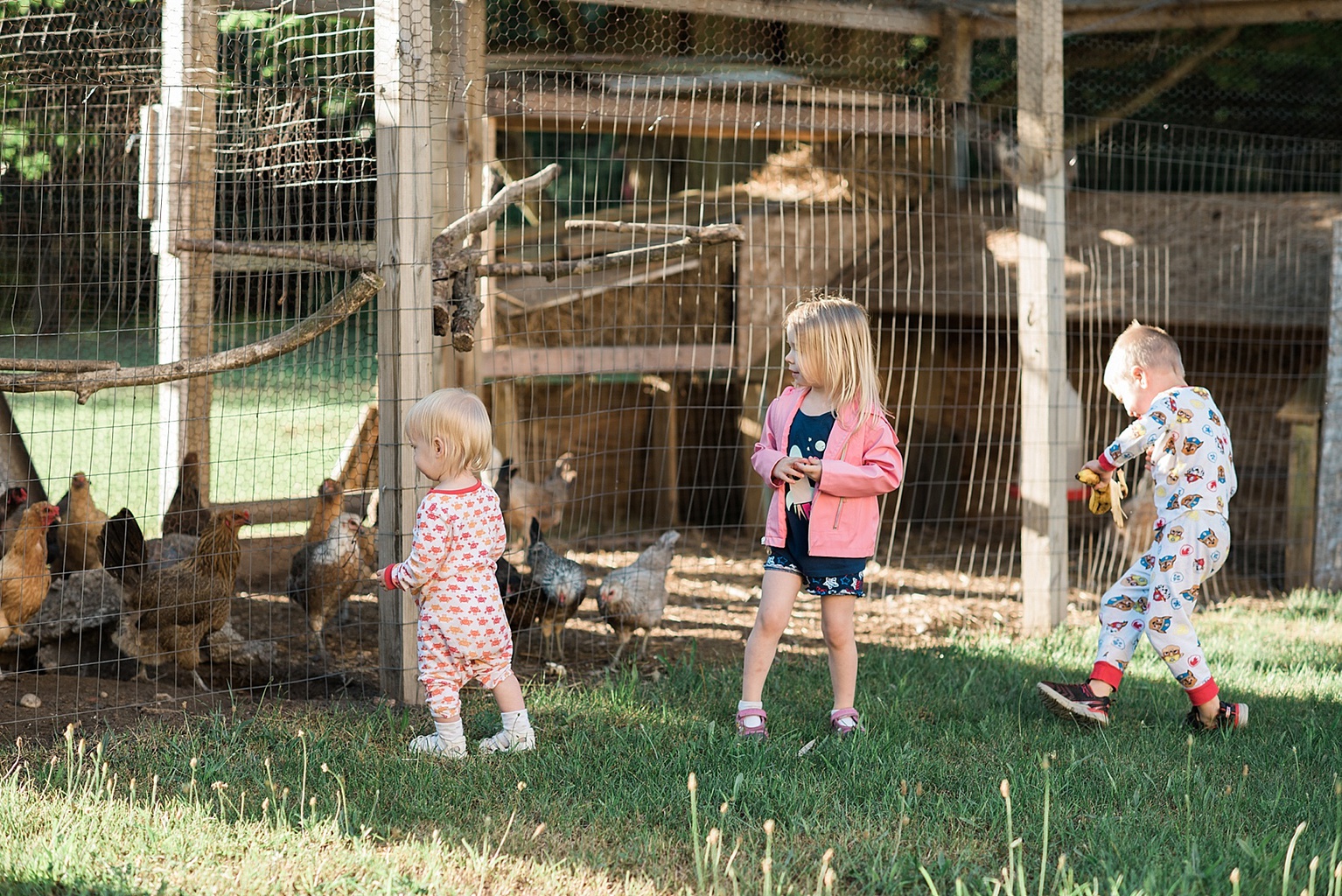 Kids playing near a chicken coop in the Saugatuck, Michigan area