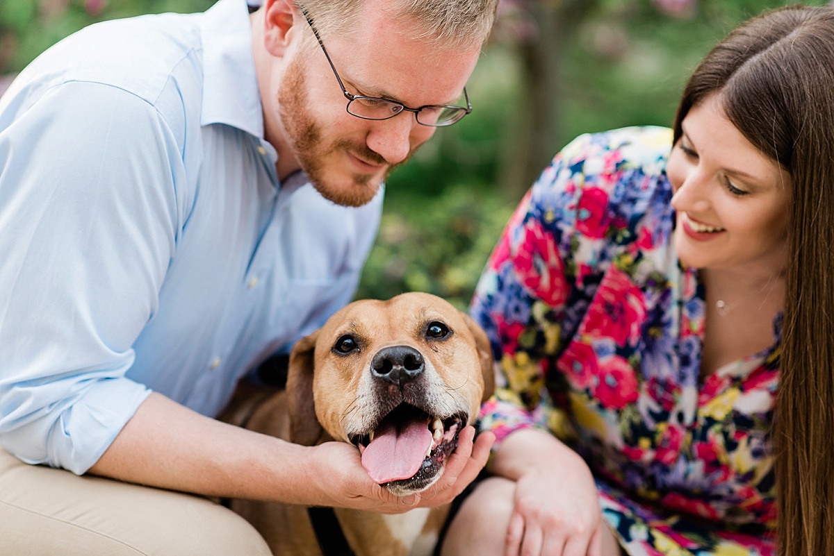 East Lansing engagement photos with dogs