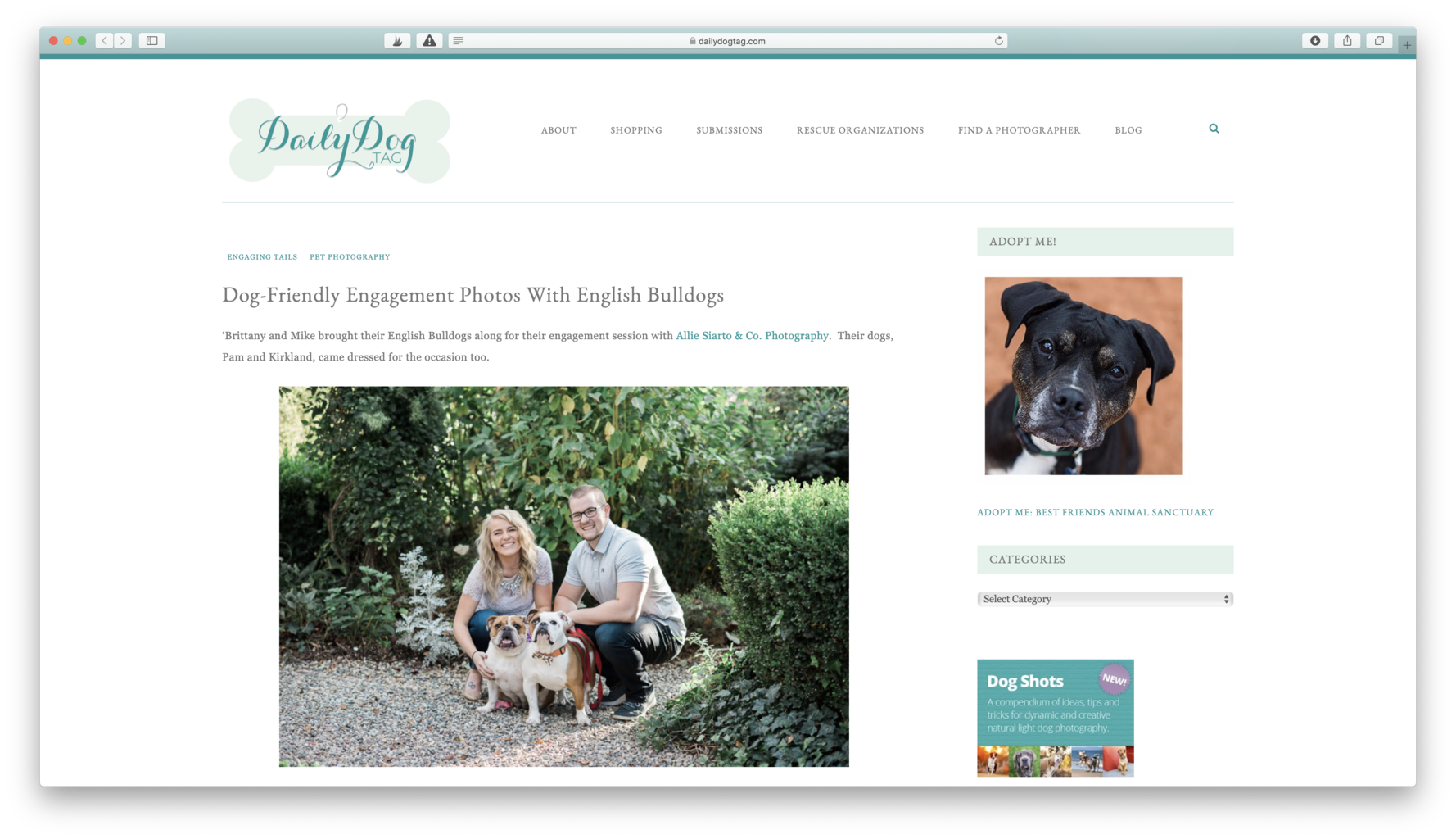 engagement photos with pet dogs in Lansing, Michigan by Allie Siarto, wedding photographers