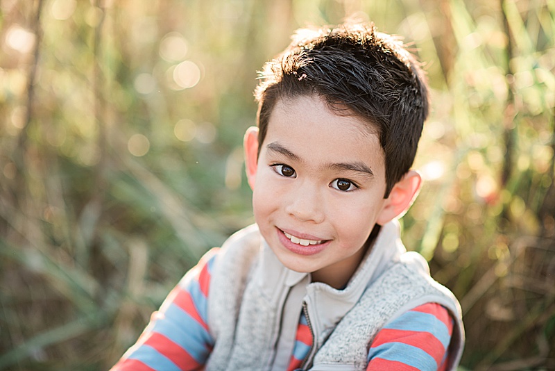 portrait of a boy in a field with light coming in behind him; family photographers in Lansing, Michigan (Allie Siarto & Co. Photography)