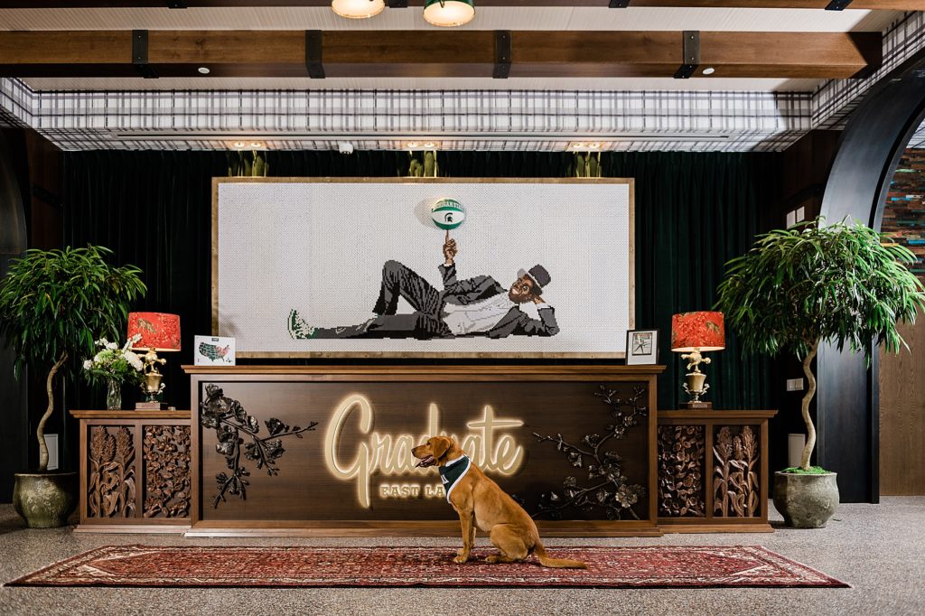 Commercial photography image of Zeke the Wonder Dog sitting in front of the front desk at Graduate Hotel in East Lansing, Michigan, by Allie Siarto & Co., branding photographers