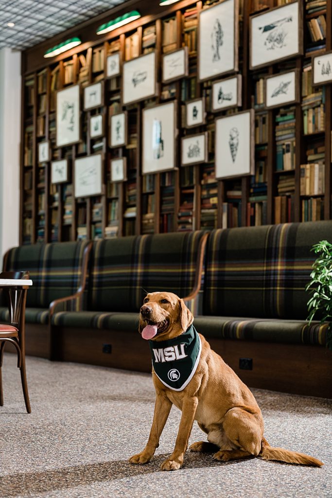 Commercial photography with an image of Zeke the Wonder Dog sitting in the lobby at Graduate Hotel in East Lansing, Michigan, by Allie Siarto & Co., branding photographers