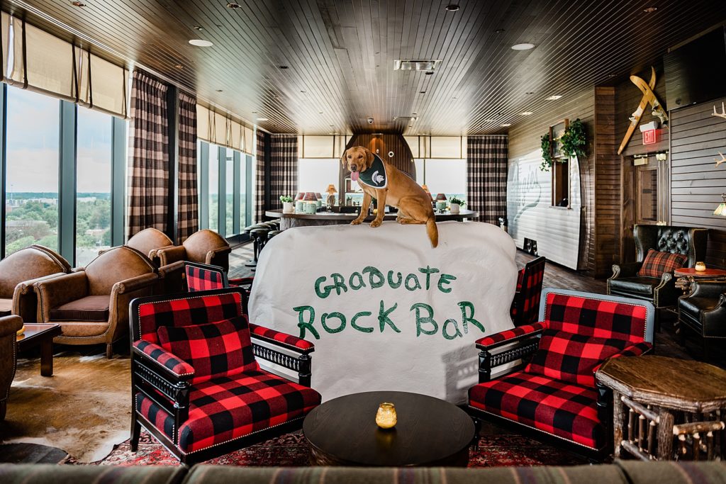Commercial photography with an image of Zeke the Wonder Dog sitting on top of the painted rock in Graduate Hotel in East Lansing, Michigan, by Allie Siarto & Co., branding photographers