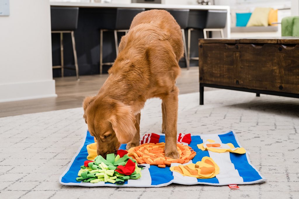 Lifestyle product photography - photo of a lab with a dog mat, by Allie Siarto & Co. Photography, Lansing, Michigan commercial photographer