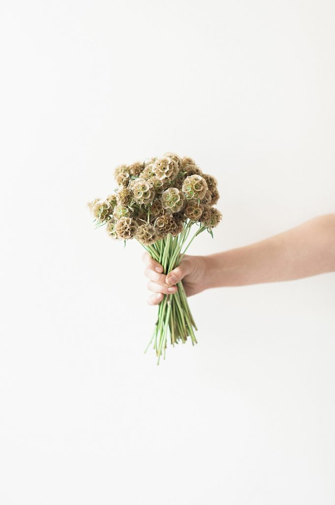 Product photo of a handheld bunch of flowers by Allie Siarto Photography, East Lansing, Michigan product photographers
